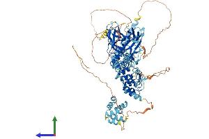 Protein Structure (PS) image for Nuclear Factor of kappa Light Polypeptide Gene Enhancer in B-Cells 2 (NFKB2) (AA 1-899) protein (His tag) (ABIN7565202)