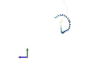 AlphaFold protein structure predicition of Human Recombinant PCOTH Protein, UniprotID Q58A44 (PCOTH Protein (AA 1-107) (His tag))