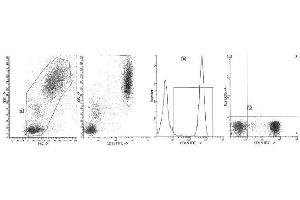 Image no. 1 for anti-Fucosyltransferase 4 (Alpha (1,3) Fucosyltransferase, Myeloid-Specific) (FUT4) antibody (FITC) (ABIN1105892) (CD15 antibody  (FITC))