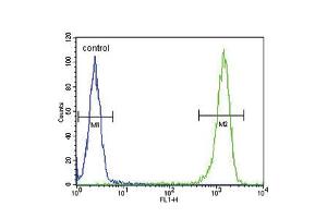Flow cytometric analysis of WiDr cells (right histogram) compared to a negative control cell (left histogram). (MC5 Receptor antibody  (C-Term))