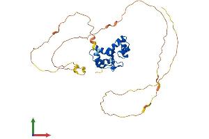 AlphaFold protein structure predicition of Human Recombinant PAX9 Protein, UniprotID P55771 (PAX9 Protein (AA 1-341) (His tag))