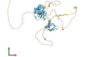 Protein Structure (PS) image for Heterogeneous Nuclear Ribonucleoprotein K (HNRNPK) (AA 1-463) protein (His tag) (ABIN7554120)