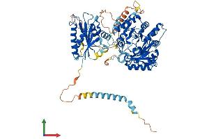 Protein Structure (PS) image for tRNA-YW Synthesizing Protein 1 Homolog (TYW1) (AA 1-721) protein (His tag) (ABIN7564372)