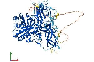 AlphaFold protein structure predicition of Mouse Recombinant Engase Protein, UniprotID Q8BX80 (ENGASE Protein (AA 1-734) (His tag))