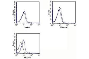 FACS testing of Rabbit IgG isotype control antibody on human samples. (Rabbit IgG isotype control (APC))
