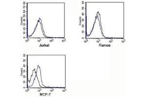 Flow Cytometry (FACS) image for Rabbit IgG isotype control (APC) (ABIN3023747)