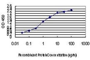 Detection limit for recombinant GST tagged GATA2 is approximately 0. (GATA2 antibody  (AA 1-102))