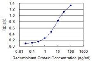 Detection limit for recombinant GST tagged SERPINB1 is 0. (SERPINB1 antibody  (AA 1-379))