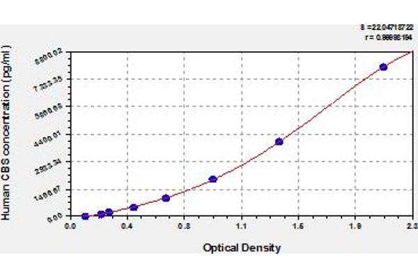 CBS ELISA Kit