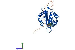 AlphaFold protein structure predicition of Mouse Recombinant Naa10 Protein, UniprotID Q9QY36 (NAA10 Protein (AA 1-235) (His tag))