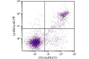 BALB/c mouse splenocytes were stained with Rat Anti-Mouse CD11b-PE/CY7. (CD11b antibody  (PE-Cy7))