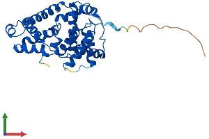AlphaFold protein structure predicition of Human Recombinant CCNC Protein, UniprotID P24863 (Cyclin C Protein (CCNC) (AA 1-283) (His tag))