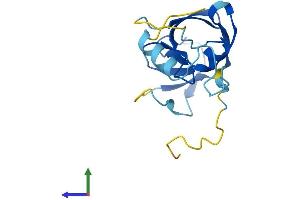 Protein Structure (PS) image for Endogenous Retrovirus Group K, Member 19 (ERVK-19) (AA 1-156) protein (His tag) (ABIN7545136)