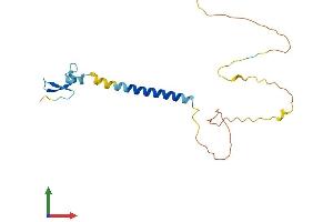 AlphaFold protein structure predicition of Mouse Recombinant Tnfrsf17 Protein, UniprotID O88472 (BCMA Protein (AA 1-185) (His tag))