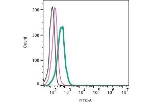 Cell surface detection of Neuropeptide S Receptor by direct flow cytometry in live intact human KU812 basophil cell line: + Rabbit IgG Isotype Control-FITC (ABIN7582044).