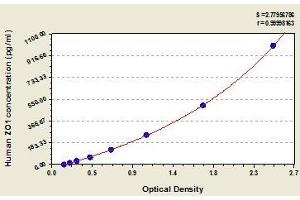 Typical standard curve (TJP1 ELISA Kit)