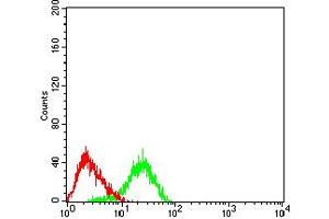 Flow cytometric analysis of Jurkat cells using CD183 mouse mAb (green) and negative control (red).
