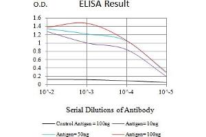 Black line: Control Antigen (100 ng),Purple line: Antigen (10 ng), Blue line: Antigen (50 ng), Red line:Antigen (100 ng) (C1QA antibody  (AA 96-245))