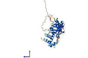 AlphaFold protein structure predicition of Mouse Recombinant Gipc1 Protein, UniprotID Q9Z0G0