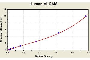 Diagramm of the ELISA kit to detect Human ALCAMwith the optical density on the x-axis and the concentration on the y-axis.
