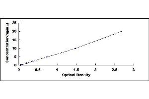 Typical standard curve (Glucocorticoid Receptor beta ELISA Kit)