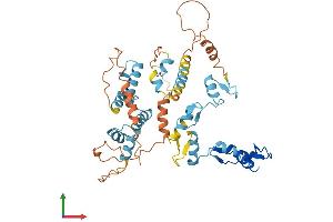AlphaFold protein structure predicition of Human Recombinant ZNF75CP Protein, UniprotID Q92670