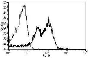 A typical staining pattern with the B-D15 monoclonal antibody of lymphocytes (ITGB1 antibody)