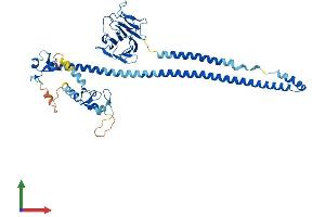 Protein Structure (PS) image for Tripartite Motif Containing 7 (TRIM7) (AA 1-511) protein (His tag) (ABIN7544748)