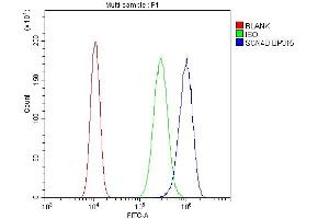 Flow Cytometry analysis of SiHa cells using anti-SCN4B antibody (ABIN6719653).