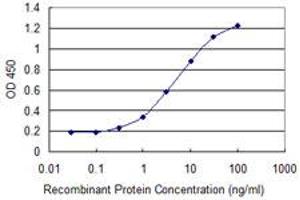 Detection limit for recombinant GST tagged CTNNB1 is 0. (CTNNB1 antibody  (AA 682-781))
