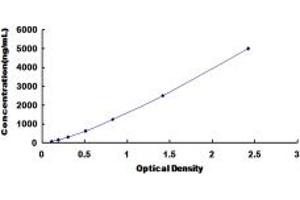 Typical standard curve (Transferrin ELISA Kit)