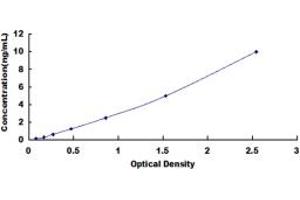 LGI3 ELISA Kit