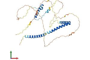 AlphaFold protein structure predicition of Human Recombinant HEXIM1 Protein, UniprotID O94992 (HEXIM1 Protein (AA 1-359) (His tag))