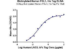 Immobilized Biotinylated Human FGL1 at 0. (FGL1 Protein (AA 64-305) (His-Avi Tag,Biotin))