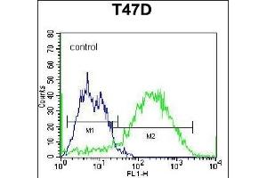 C Antibody (C-term) (Ascites) ABIN1539995 flow cytometric analysis of T47D cells (right histogram) compared to a negative control cell (left histogram).