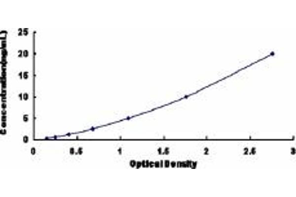 LAT ELISA Kit