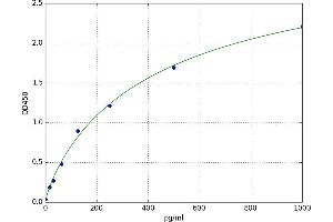 Reactive Oxygen Species Modulator 1 (ROMO1) ELISA Kit