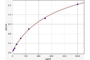 Chemokine (C-X-C Motif) Ligand 2 (CXCL2) ELISA Kit
