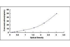 ELISA image for Transthyretin (TTR) ELISA Kit (ABIN6574196)