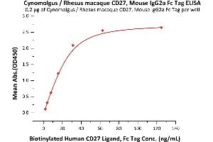 ELISA image for CD27 Molecule (CD27) (AA 20-191) (Active) protein (Fc Tag) (ABIN5955004)