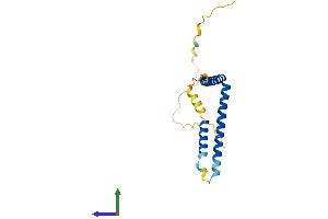 Protein Structure (PS) image for Mediator Complex Subunit 28 (MED28) (AA 1-178) protein (His tag) (ABIN7549328)