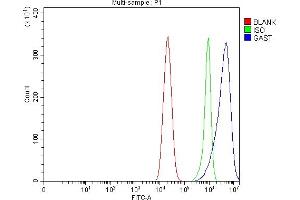 Flow Cytometry analysis of Caco-2 cells using anti-Gastrin/GAST antibody (ABIN7603052). (Gastrin antibody  (Middle Region))