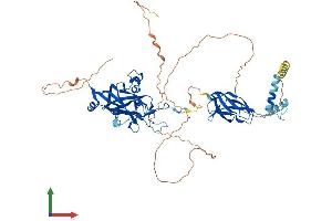Protein Structure (PS) image for Early B-Cell Factor 1 (EBF1) (AA 1-591) protein (His tag) (ABIN7556915)
