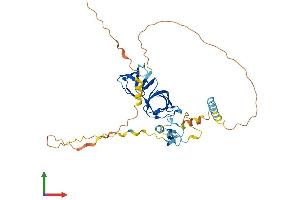 AlphaFold protein structure predicition of Human Recombinant STAC3 Protein, UniprotID Q96MF2 (STAC3 Protein (AA 1-364) (His tag))