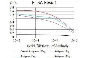 Black line: Control Antigen (100 ng), Purple line: Antigen(10 ng), Blue line: Antigen (50 ng), Red line: Antigen (100 ng), (PCNA antibody  (AA 53-196))
