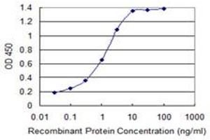 Detection limit for recombinant GST tagged S100A11 is 0. (S100A11 antibody  (AA 10-87))