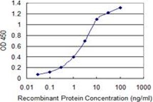 Detection limit for recombinant GST tagged KIT is 0. (KIT antibody  (AA 41-140))