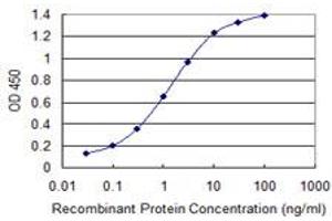Detection limit for recombinant GST tagged TKTL2 is 0. (TKTL2 antibody  (AA 59-120))