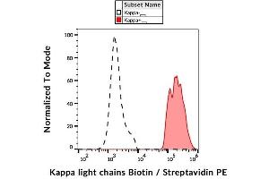 Surface staining of kappa light chains in human peripheral blood cells with anti-kappa light chains (TB28-2) biotin, streptavidin-PE.