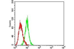Flow cytometric analysis of HL-60 cells using CD30 mouse mAb (green) and negative control (red). (TNFRSF8 antibody  (AA 19-379))
